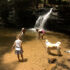 Table Rock State Park, Part II