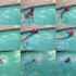 A Day in the Pool