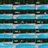 Another Day at the Pool
