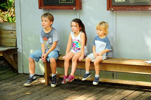 Audience
