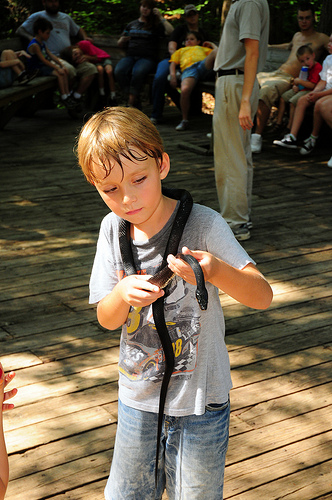 Snake Handler