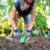 Autumn Planting