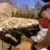 Zoo