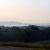Morning Walk II
