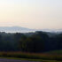 Morning Walk II