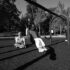 In the Park (Redux)