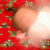Christmas Pictures