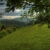 Farm on the Hill