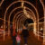 Lights
