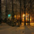 Real Snow