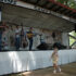 Bluff Mountain Festival