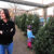Christmas Decorating
