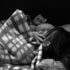 Late Afternoon Nap