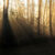 Early Sun