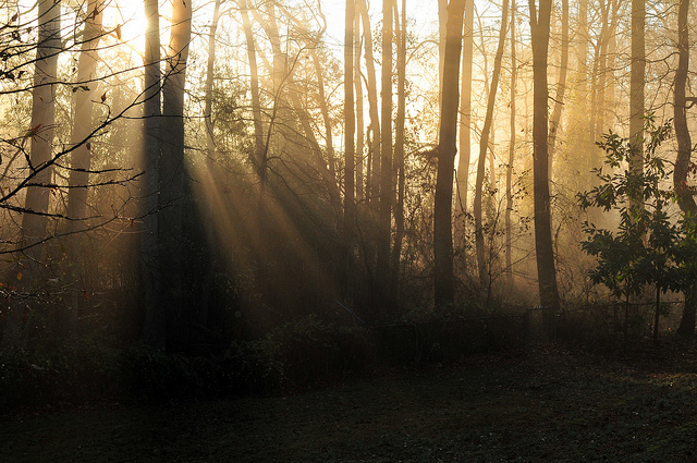Early Sun