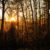 Lent 2012: Day 25