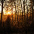 Lent 2012: Day 25