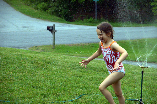 Sprinkler 2012 -- 1