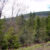 Babia Gora