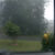 Weather