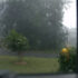 Weather
