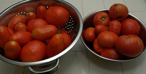 August Harvest