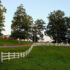 Fence