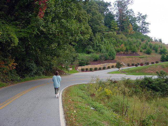 Morning Walk II