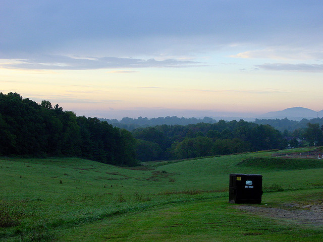 Morning Walk