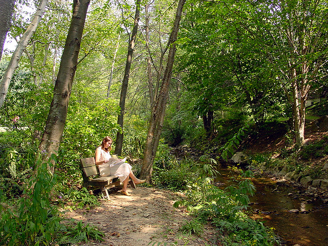 Asheville Botanical Gardens II