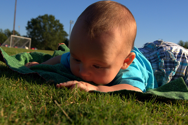 The Boy in Grass