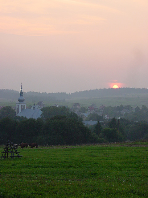 DSC02158
