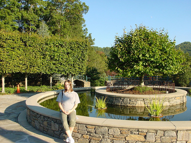 Fountain Pose