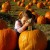 Pumpkin Patch
