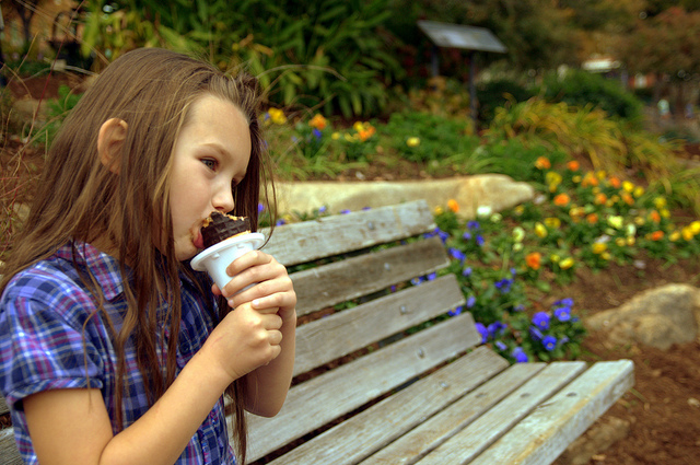 Ice Cream on the Bench