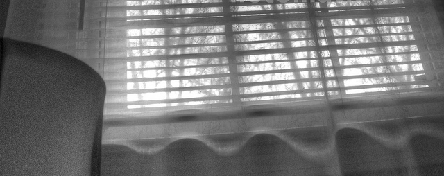 Morning Window