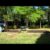 Planting Plus