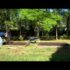 Planting Plus