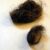 Handful of Hair