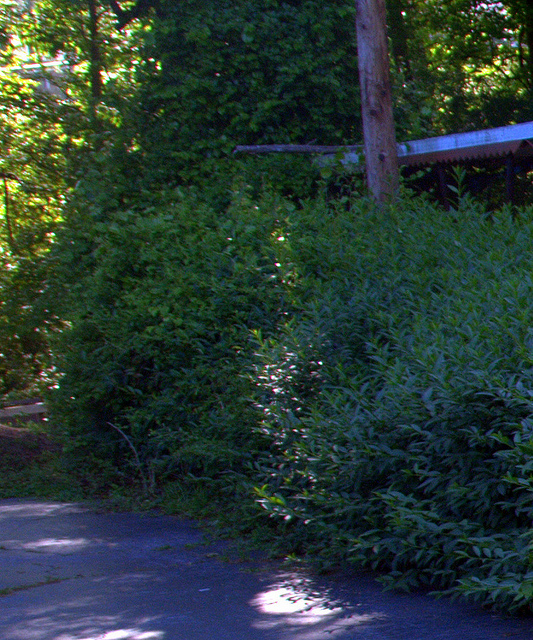 VIV_1035-001