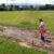 Puddles