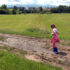Puddles