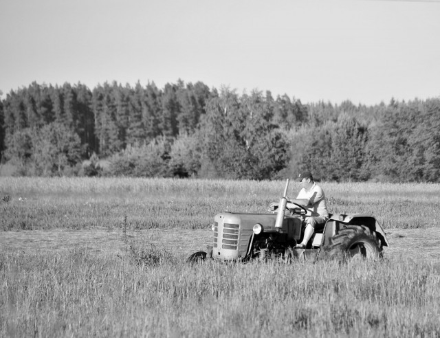 VIV_3287
