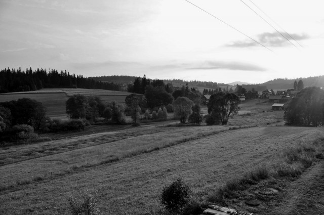 VIV_3929