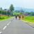 The Cows, Coming Home