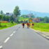 The Cows, Coming Home