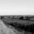 Road from the Fields