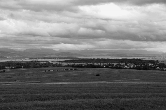 DSC_5975