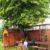 Outdoor School
