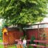 Outdoor School
